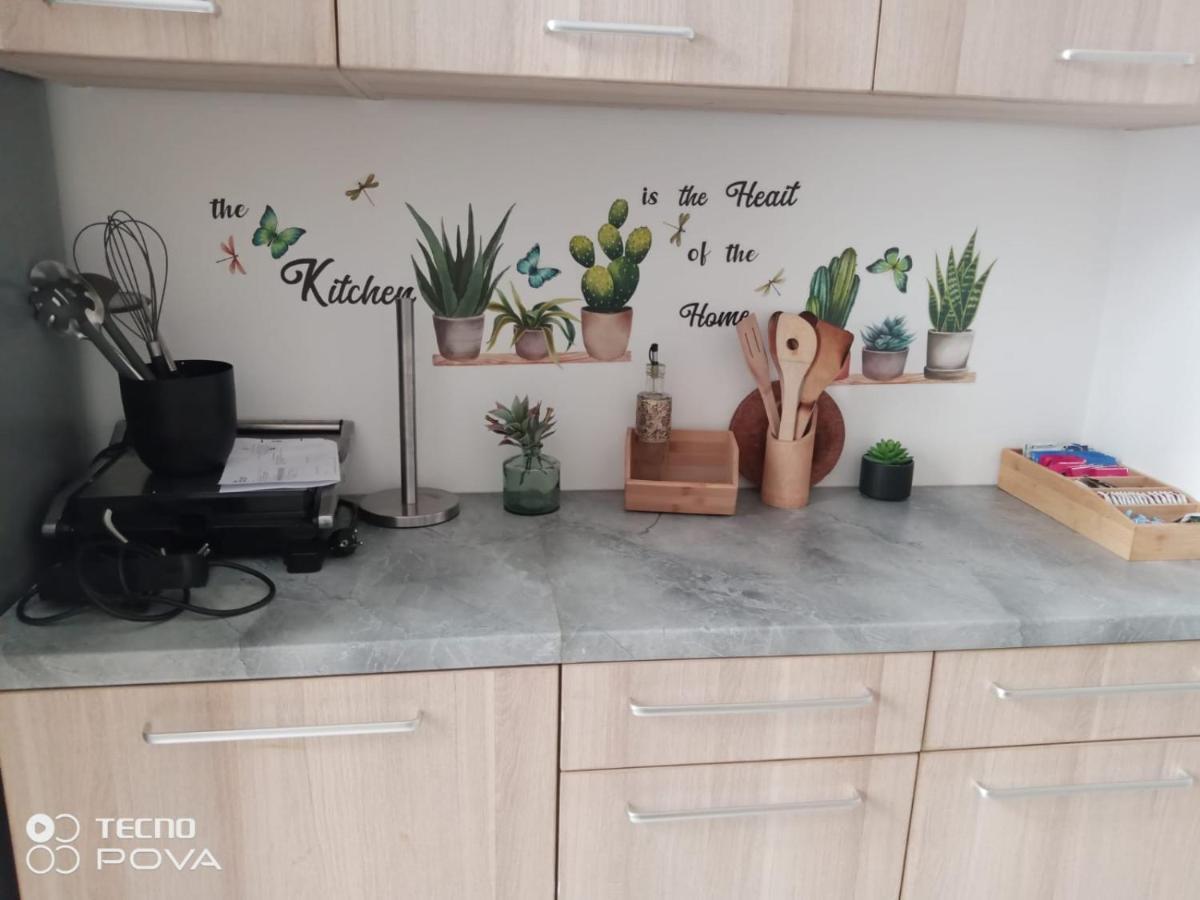 Grand Appartement Au Coeur De Strasbourg Eksteriør billede
